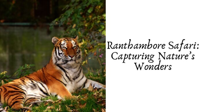 Ranthambore Safari: Capturing Nature’s Wonders